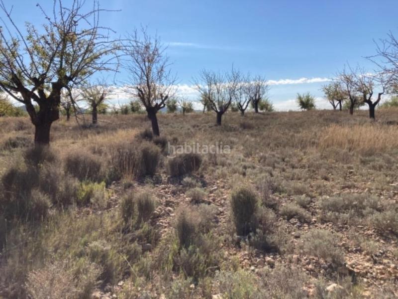 Foto d32f0526-b21a-44e3-b2a6-5637ddee5b0d. Finca rústica a Utiel
