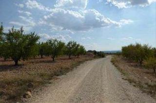 Finca rústica  Poligono 17. Terreno en venta