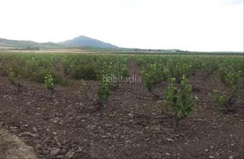 Foto 20bb8b24-1fba-4576-9431-10970966f2e8. Fondo rustico in Yecla