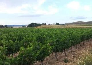 Rural plot  Pulpillo - diseminado de campo arriba. Terreno en venta