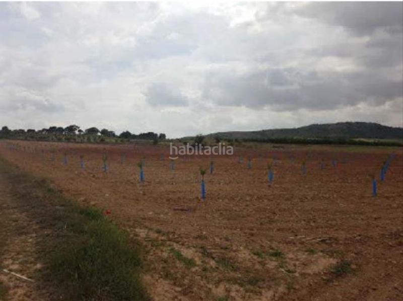 Foto b6c9201a-b8f6-42d4-b1c0-1849ceefc49a. Fondo rustico in Yecla