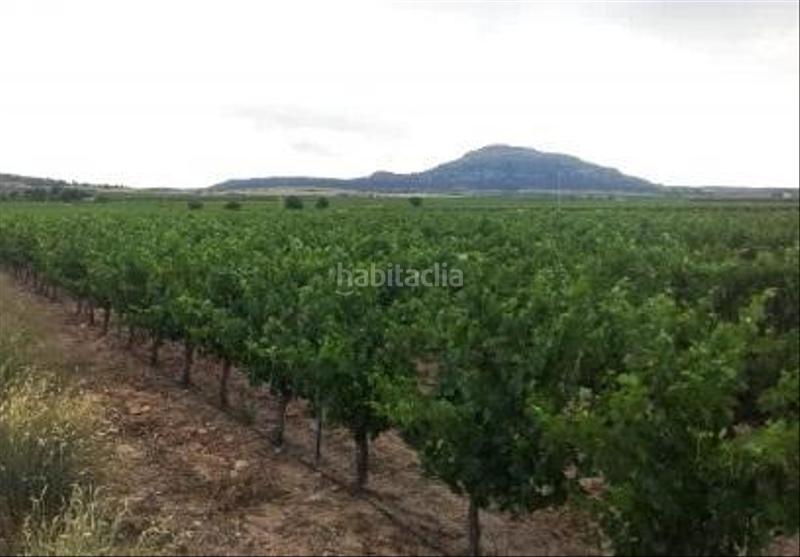 Foto fe0c7dad-915e-43a3-9e87-f8e184a73e6b. Fondo rustico in Yecla