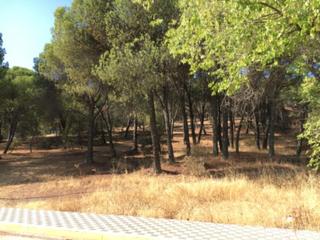 Terrain résidentiel à Juan ramón jiménez,zo-unc-3 (ue-5) s/n. Terreno en venta