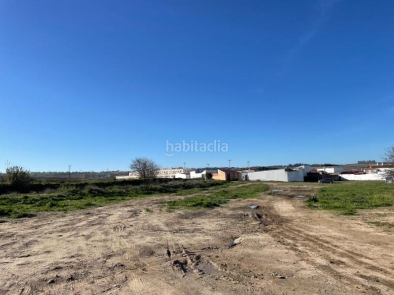 Foto 340ad763-af77-42d6-8129-744cb1a37ec2. Terreny residencial a aa-8 chucena ii s/n a Palma del Condado (La)