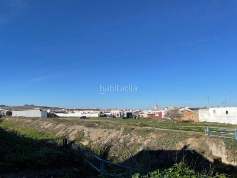 Foto 70365a76-c32f-403d-8dc8-88d766e82399. Terreny residencial a aa-8 chucena ii s/n a Palma del Condado (La)