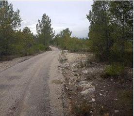 Finca rústica a Poligono 109. Terreno en venta