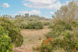 Finca rústica  Partida la loma / poligono 17. Terreno en venta