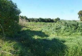 Finca rústica a Pago atalaya pol. 9. Terreno en venta