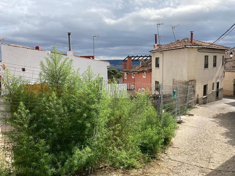 Foto b3cfd10f-f99b-4f4b-baec-ec2dfb2d2b9f. Terrain résidentiel dans herrenales 10 dans Horche