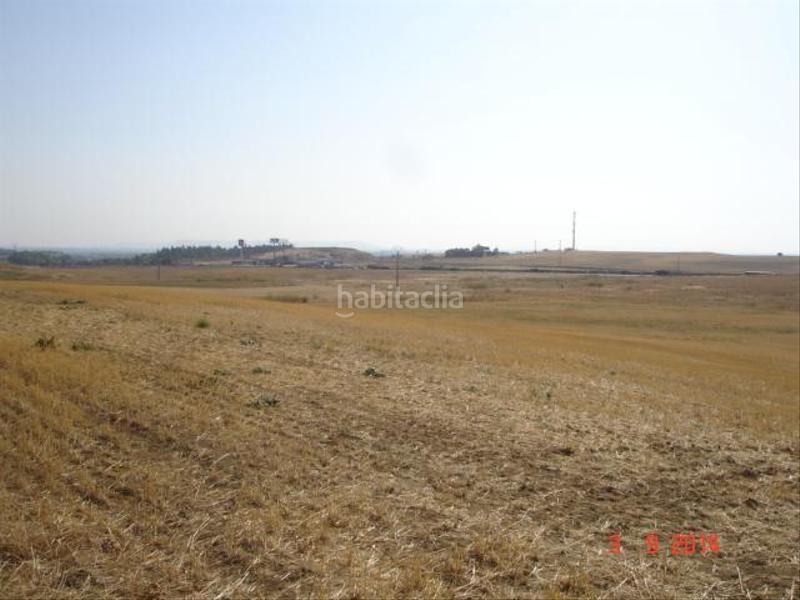 Foto 4cfd18fa-10c0-482c-8262-e83cc42f0df3. Terrain résidentiel dans Simancas