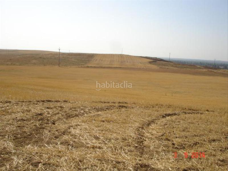 Foto bfb45c7b-16a8-492b-baea-8723daf4670e. Terrain résidentiel dans Simancas