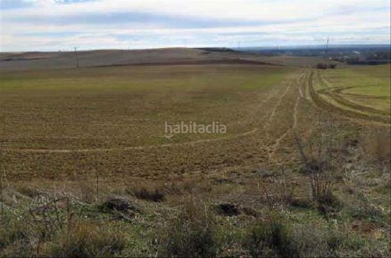 Foto e1288a2e-8bf6-4dc5-8e00-bfad32492565. Terreny residencial a Simancas