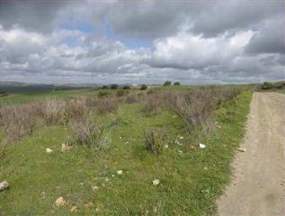 Terreny residencial a Anticoli corrado, rsdal san jorge s/n. Terreno en venta