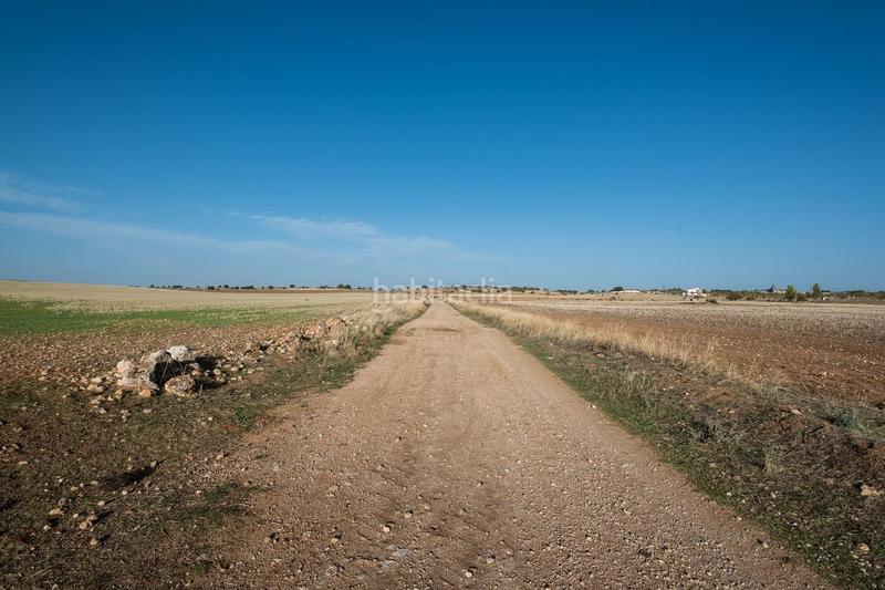 Foto c6cabda5-111d-4fee-9d76-f189c45a5b34. Terreno residenziale in 15-16 sn in Horche