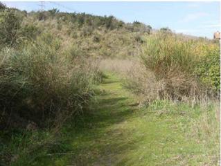 Finca rústica a 10 s/n. Terreno en venta