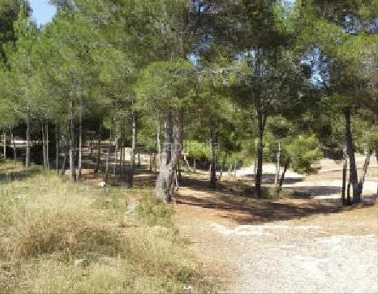 Foto b5f29282-73e5-42af-a5b2-43a0ce075ac3. Terreny residencial a sant francesc sector uaxxi s/n a Creixell