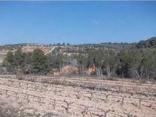 Finca rústica a Partida cometa y pins bes pol-3. Terreno en venta