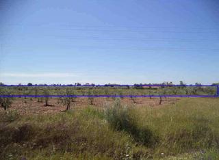 Terrain résidentiel à Ue-3 del pp-r3 " las dueñas" sn. Terreno en venta