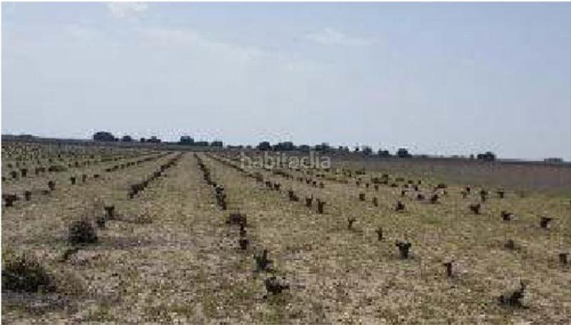 Foto 0eca0c0e-a63b-4874-8895-8991301ebac6. Finca rústica terreno en venta en Mota del Cuervo