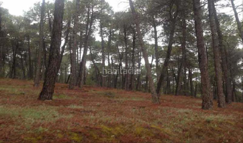 Foto 475a2d58-c2b4-4c8f-9db8-25739c41b914. Fondo rustico in haza lariguilla 62 in Cumbres Verdes Zubia (La)