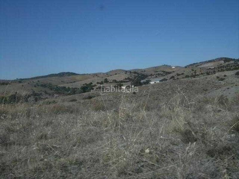 Foto 40bda109-02ae-4405-8591-6668f6591fa0. Finca rústica a Vélez - Rubio