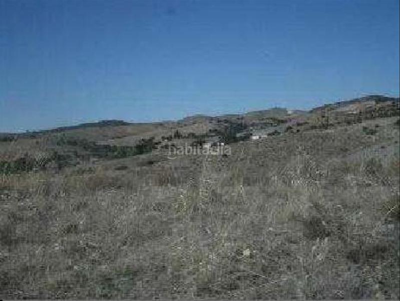 Foto 50df200b-1930-49ed-8f01-80f7a4c1dcd9. Finca rústica a Vélez - Rubio