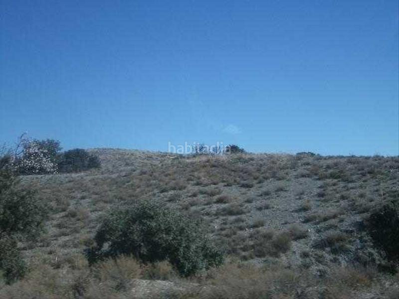 Foto 50e923ca-c1e0-45c2-a2c3-bf237f44e997. Finca rústica a Vélez - Rubio