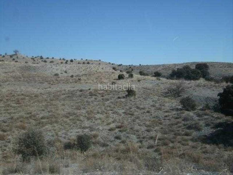 Foto 6adfab51-636a-4d1e-bd49-0274dd575086. Finca rústica a Vélez - Rubio