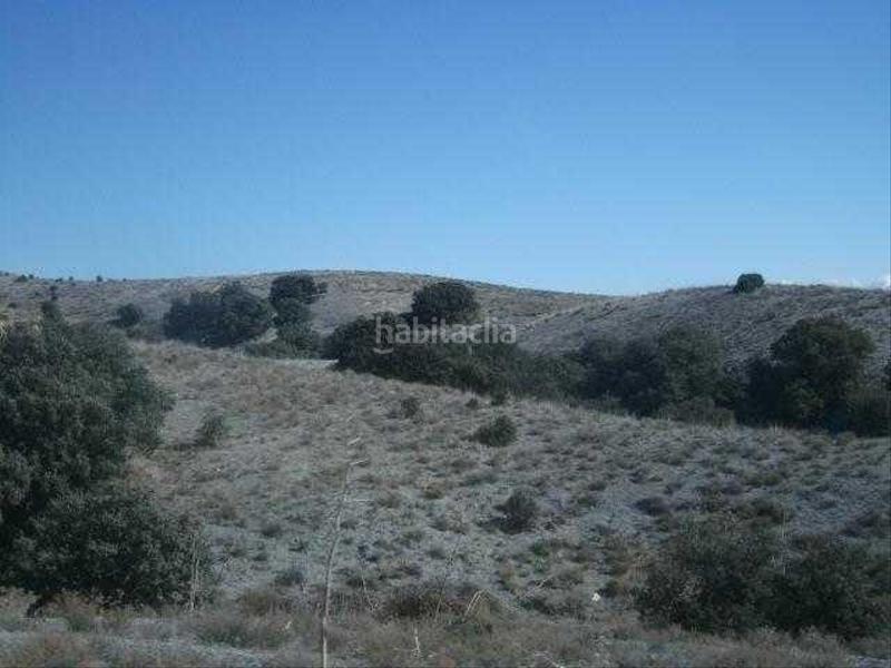 Foto c37db7bc-2513-41ef-8033-46f342b370fb. Finca rústica a Vélez - Rubio