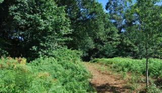 Terrain résidentiel à Parroquia torneiros s/n. Terreno en venta