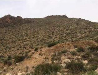 Finca rústica  Rincon - pol.15. Terreno en venta