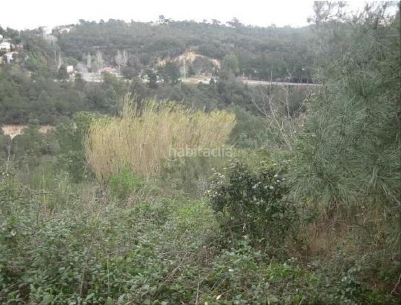 Foto a18533b8-e97f-4cfa-9cd3-bb32017d9ee4. Terreny residencial a selva 65 a Lloret Blau - La Creu de Lloret Lloret de Mar