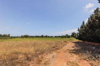 Terreny residencial a Polígono pp g 14. Terreno en venta