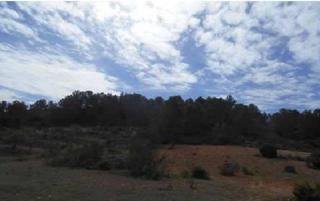 Finca rústica  Peña tuerca, poligono 29. Terreno en venta