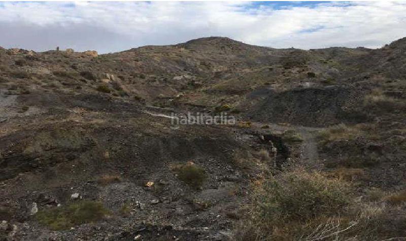 Foto 07fc2594-100e-4467-a641-b687ccb46972. Finca rústica a barranco jaroso sierra almagreda poligon 6 a Cuevas del Almanzora