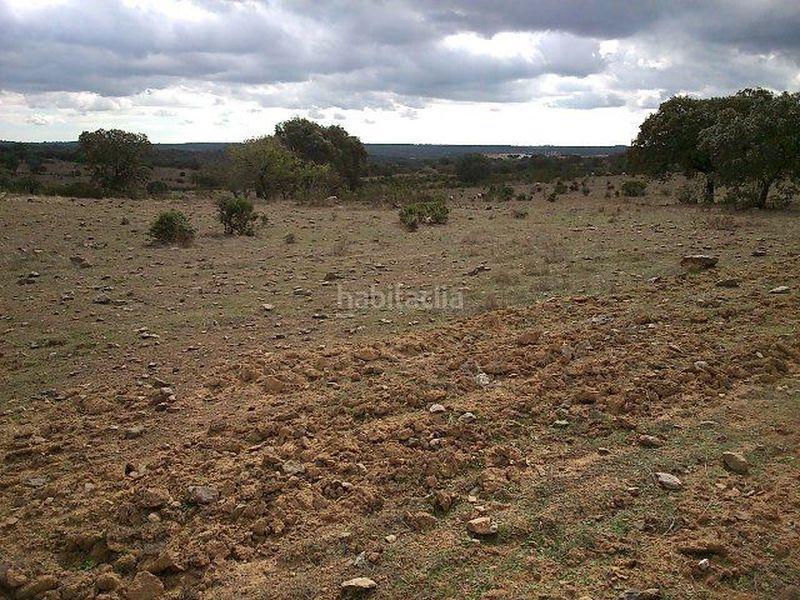 Foto 6b876330-cf2a-470a-92f4-4fbeea6ca4e5. Finca rústica terreno en venta en Villanueva de los Castillejos
