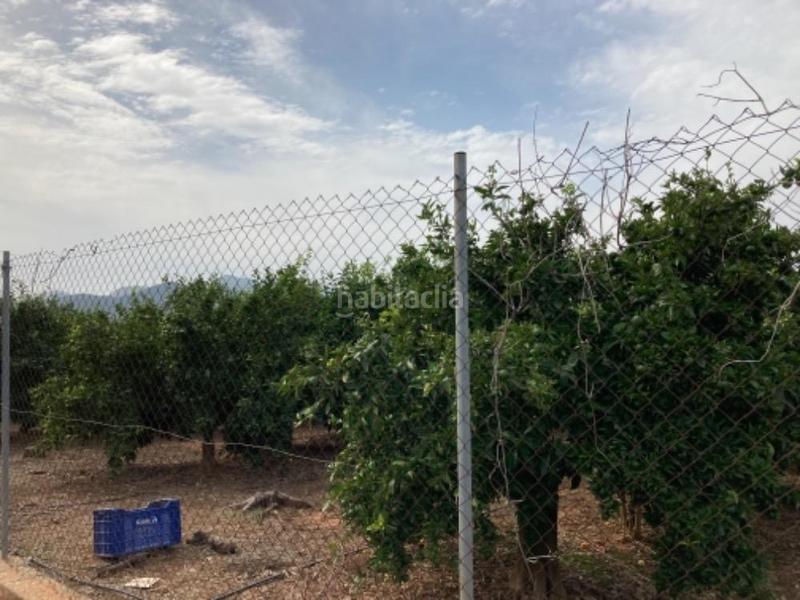 Foto 810fb247-103b-47b5-8ae4-f719ba84609a. Finca rústica terreno en venta en Nules