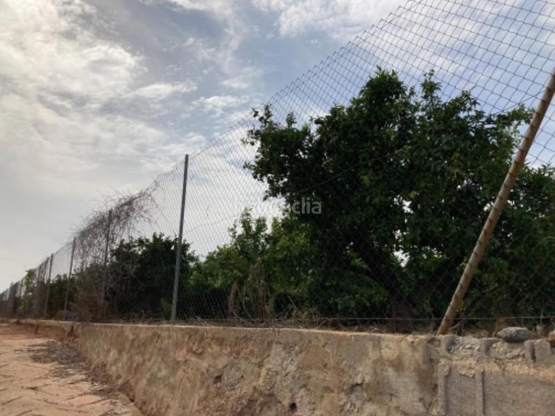 Foto 94121d07-baf5-424f-8416-647d08d14504. Finca rústica terreno en venta en Nules