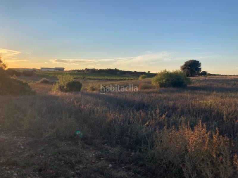 Foto 362e0ee5-8257-43ef-8907-925aa25a69fe. Propriété dans pozo arangu s/n dans Caudete de las Fuentes