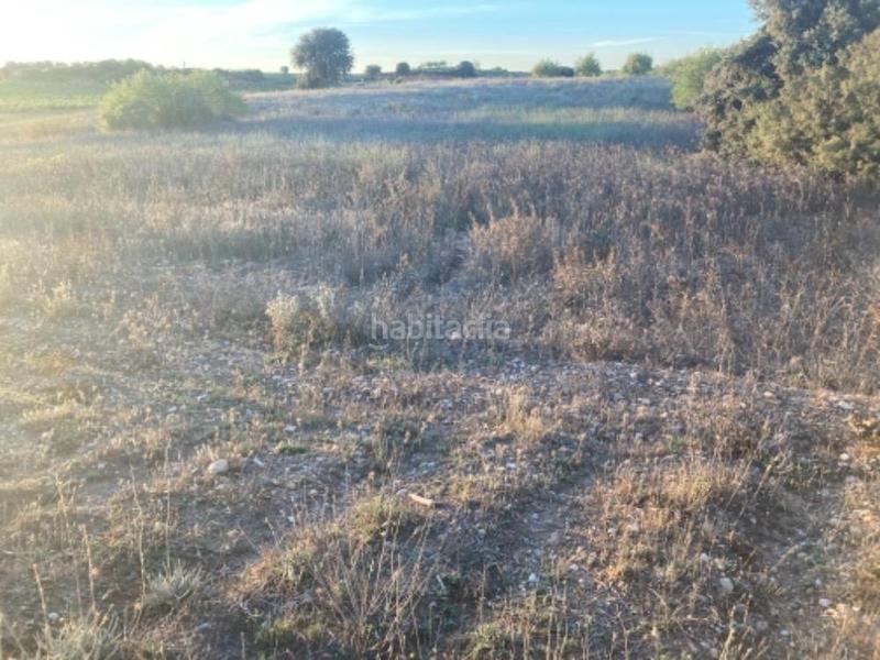 Foto 719ec49b-f98a-4526-9155-c75d44951e69. Propriété dans pozo arangu s/n dans Caudete de las Fuentes