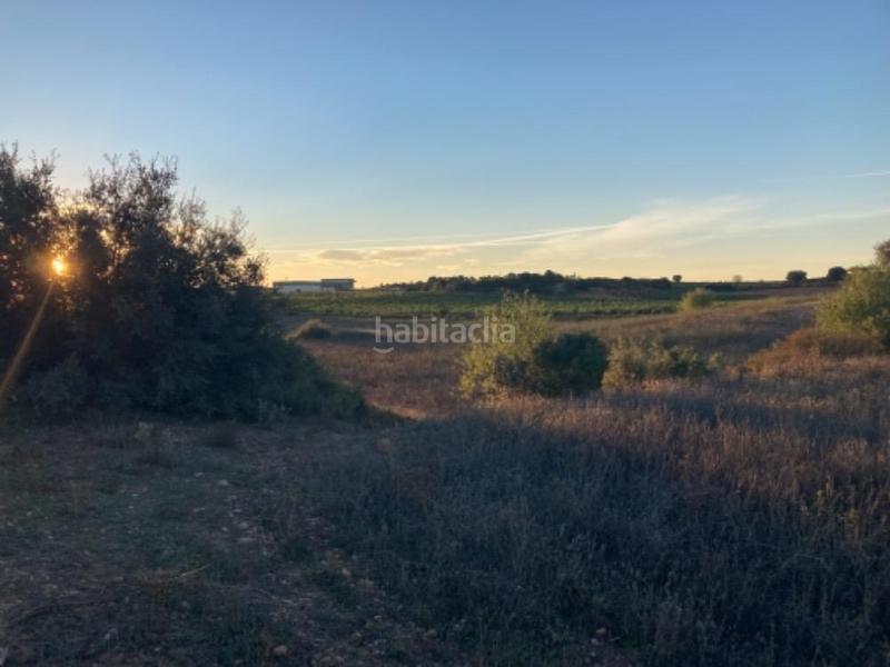 Foto a966b5fb-3512-48d3-be5f-c3ecca64ead3. Propriété dans pozo arangu s/n dans Caudete de las Fuentes