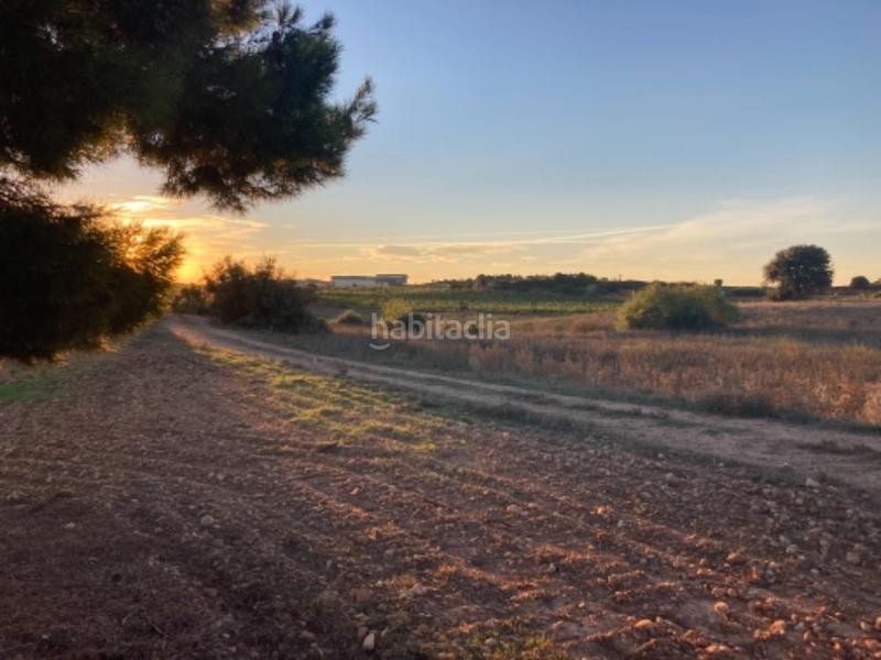 Foto dcd00e43-e2ab-4324-9c57-9015bb205ef9. Propriété dans pozo arangu s/n dans Caudete de las Fuentes