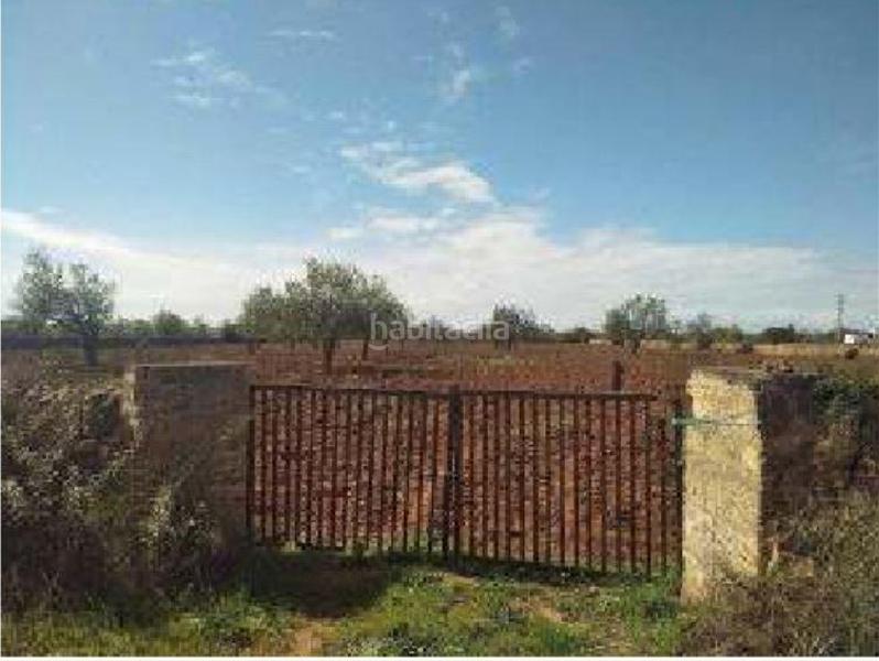 Foto 28cb34cc-e948-4557-be7a-2c1caf7d88fb. Finca rústica a s'aguila polig 31 a Llucmajor interior Llucmajor