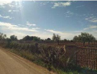 Rural plot in S'aguila polig 31. Terreno en venta
