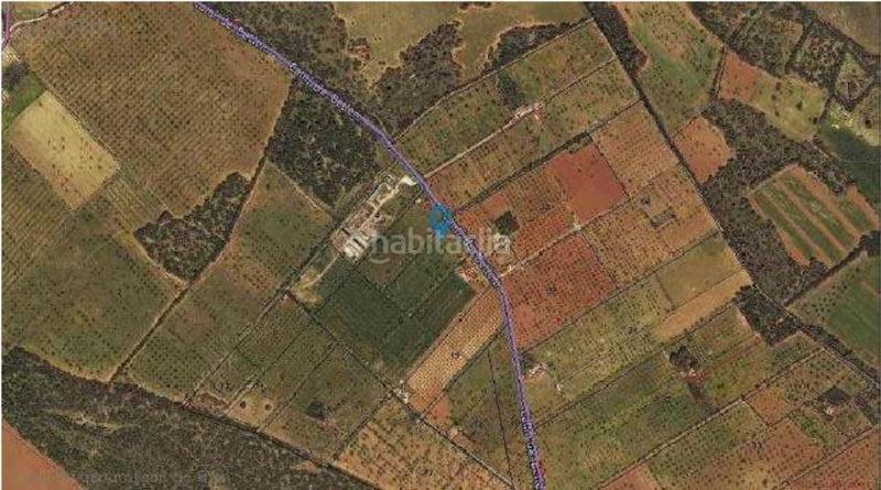 Foto 4761c519-d638-49bc-9b02-293762ca5d7f. Finca rústica a s'aguila polig 31 a Llucmajor interior Llucmajor