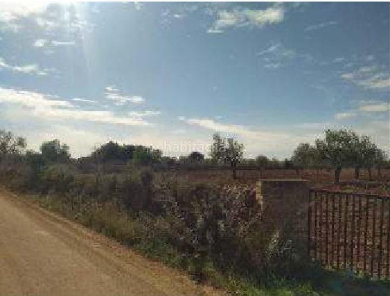 Foto 939862eb-4845-4d2f-b794-1ad6792c44ed. Finca rústica a s'aguila polig 31 a Llucmajor interior Llucmajor