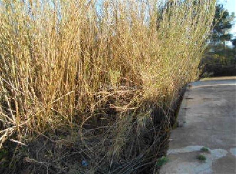 Foto 644120b7-0ca3-4850-88d2-2d302442eb23. Fondo rustico in Algímia de Alfara