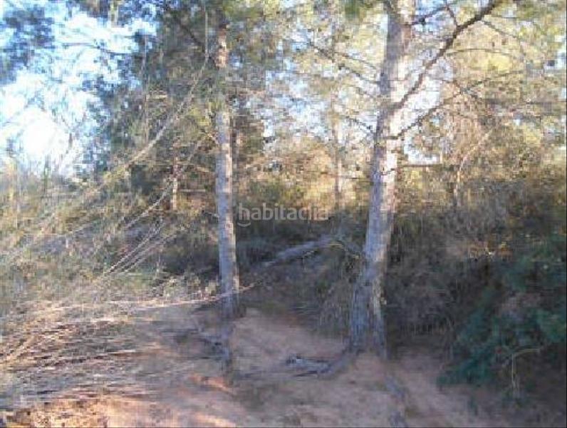 Foto fa0884a7-657c-448a-a174-d6552db94d86. Fondo rustico in Algímia de Alfara