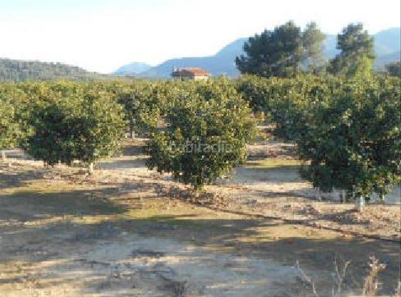 Foto fbc0ddce-887b-43c3-b399-0a1c38c1d77d. Fondo rustico in Algímia de Alfara