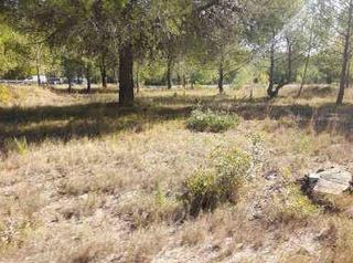 Finca rústica en Pla y sarva s/n. Terreno en venta